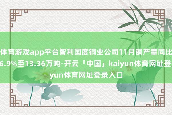 体育游戏app平台智利国度铜业公司11月铜产量同比增长16.9%至13.36万吨-开云「中国」kaiyun体育网址登录入口